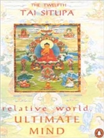 Relative World: Ultimate Mind