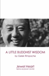 A Little Buddhist Wisdom, Gelek Rinpoche