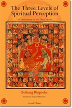 Three Levels of Spiritual Perception: An Oral Commentary on the Three Visions (Snang Gsum) of Ngorchen Konchog Lhundrub , Deshung Rinpoche, Jared Rhoton (Translator), Wisdom Publications