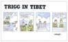 Trigg in Tibet <br> By: Trigg
