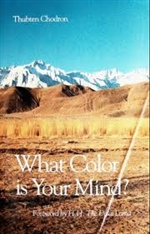 What Color Is Your Mind <br> By: Thubten Chodron