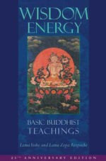 Wisdom Energy, Basic Buddhist Teachings
