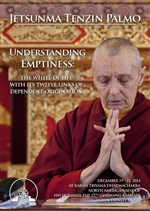 Understanding Emptiness