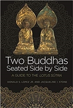 Two Buddhas Seated Side by Side: A Guide to the Lotus Sutra,