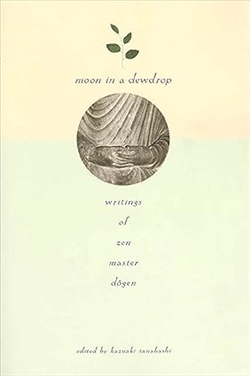 Moon in a Dewdrop