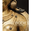 Divine bodies : sacred imagery in Asian art, Qamar Adamjee, Jeffrey Durham, and Karin G. Oen.