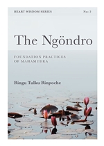 Ngondro: Preliminary Practices to Mahamudra