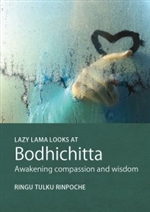 Lazy Lama Looks At Bodhichitta