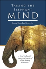 Taming the Elephant Mind: A Handbook on the Theory and Practice of Calm Abiding Meditation, Lama Choedak Rinpoche