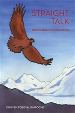 Straight Talk: Discourses on Practice