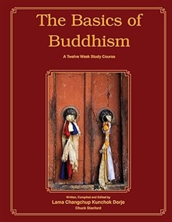 Basics of Buddhism : A Twelve Week Study Course, Chuck Stanford