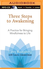 Three Steps to Awakening MP3 CD