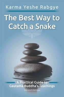 The Best Way to Catch a Snake : A Practical Guide to Gautama Buddha's Teachings, Karma Yeshe Rabgye, CreateSpace Independent Publishing Platform