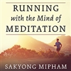 Running with the Mind of Meditation MP3-CD