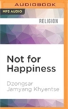 Not for Happiness: A Guide to the So-Called Preliminary Practices (MP3 CD)