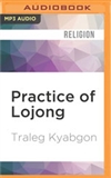 Practice of Lojong: MP3 CD Traleg Kyabgon Rinpoche