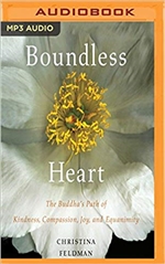 Boundless Heart (MP3 CD), Christina Feldman
