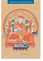 The Eighth Situpa on the Third Karmapa's Mahamudra