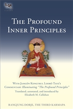 The Profound Inner Principles Karmapa