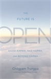 Future Is Open: Good Karma, Bad Karma, and Beyond Karma