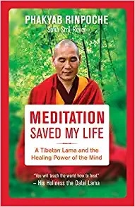 Meditation Saved My Life: a Tibetan Lama and the Healing Power of the Mind, Phakyab Rinpoche