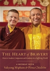 Heart of Bravery A Retreat DVD