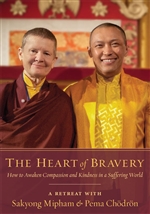 Heart of Bravery A Retreat DVD