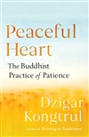 Peaceful Heart: The Buddhist Practice of Patience <br/>By: Dzigar Kongtrul