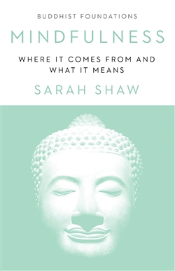 Mindfulness: Where It Comes From and What It Means (Buddhist Foundations) by Sarah Shaw