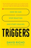 Triggers: How We Can Stop Reacting and Start Healing , David Richo
