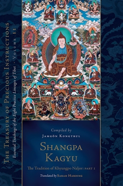 Shangpa Kagyu, Jamgon Kongtrul Lodro Thaye