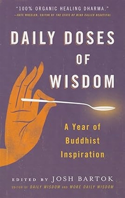 Daily Doses of Wisdom