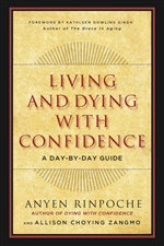 Dying with Confidence: A Tibetan Buddhist Guide to Preparing for Death, Anyen Rinpoche