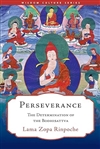 Perseverance: The Determination of the Bodhisattva