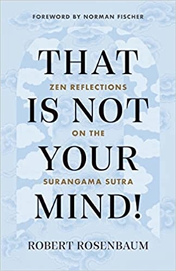 That Is Not Your Mind! Zen Reflections on the Surangama Sutra