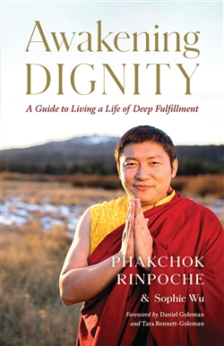 Awakening Dignity: A Guide to Living a Life of Deep Fulfillment, Phakchok Rinpoche and Sophie Wu , Shambhala Publications