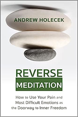 Reverse Meditation, Andrew Holecek