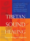 Tibetan Sound Healing, Tenzin Wangyal Rinpoche