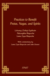 Practices to Benefit Pretas, Nagas, and Spirits
