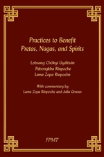 Practices to Benefit Pretas, Nagas, and Spirits