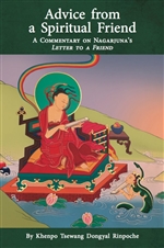 Advice from a Spiritual Friend: A Commentary on Nagarjuna's Letter to a Friend
