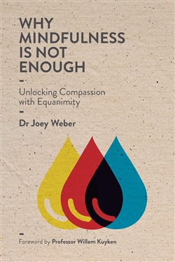 Why Mindfulness is Not Enough : Unlocking Compassion with Equanimity, Dr. Joey Weber, Equanamee