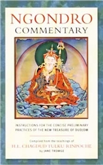 Ngondro Commentary, H.E. Chagdud Tulku Rinpoche, compiled by Jane Tromge, Padma Publishing