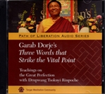 Garab Dorje's Three Words that Strike the Vital Point: Teachings on the Great Perfection with Drupwang Tsoknyi  Rinpoche (MP3 CD)