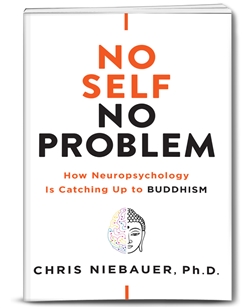 No Self No Problem: How Neuropsychology is catching up to Buddhism ,Chris Niebauer, Ph.D., Hierophant Publishing