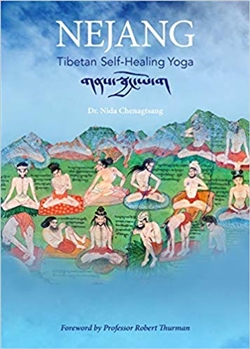 Nejang: Tibetan Self-Healing Yoga, Nida Chenagtsang, Sky Press