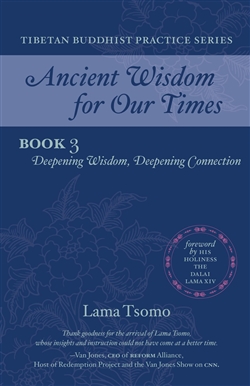 Deepening Wisdom, Deepening Connection; Lama Tsomo ; Namchak Publishing