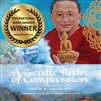 Gentle Rain of Compassion: A Memoir, David Shlim MD
