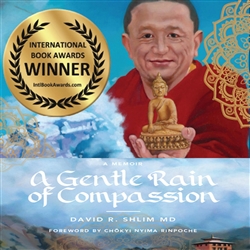 Gentle Rain of Compassion: A Memoir, David Shlim MD