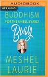 Buddhism for the Unbelievably(MP3 CD), Meshel Laurie